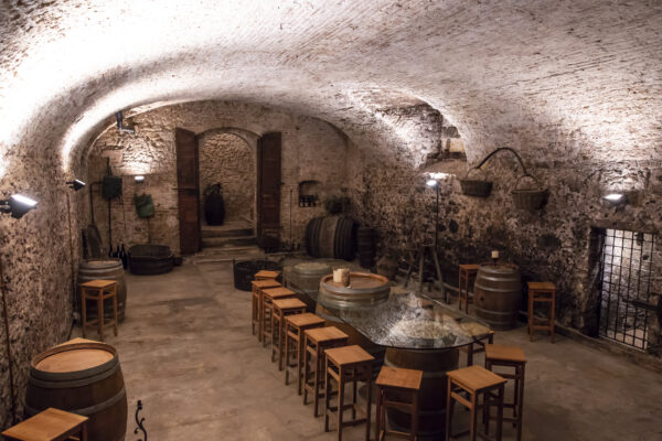 30.09 Degustazione Cantina del Castello - Profumo di Mosto